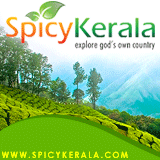 www.spicykerala.com